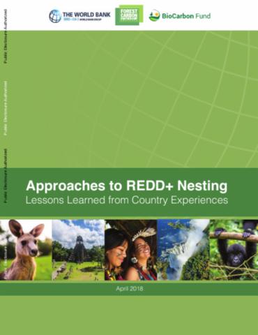 Approaches to REDD+ nesting: lessons learned from country experiences